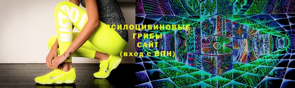 твердый Армянск